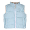 Blue & Beige Andy Reversable Gilet