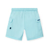 Turquoise Hamish Shorts