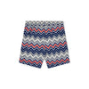 Navy Pablo Swim Shorts