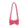 Red Laura Bag