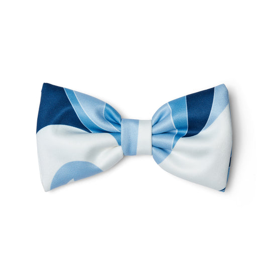 Blue Leighton Hair Clip
